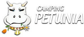camping logo